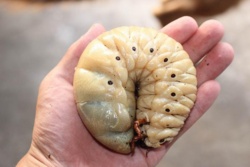 dfdfde4e-8301-423e-a980-a21bd164e44b