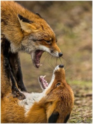 04e59e0c-30f7-454f-bcb7-4825d8de48d1