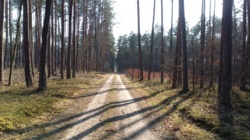 5498a29c-a0e3-4252-888e-78a569576692