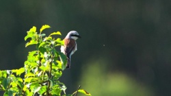 a3ff73d0-48b6-4357-97fb-7687b7d2cfb3