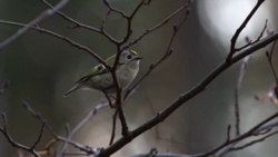 73fb96d7-19a8-43ec-8263-7a6640174cb9