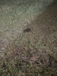 f8eab5b5-df25-4054-9706-4f1b424df1f2