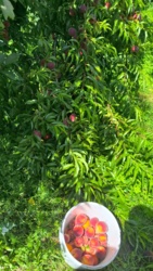 746f71f6-c77d-4f82-b2b7-94698b2546a1