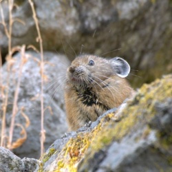 e4191800-f0ff-4818-9c18-4880fe7ea4d8