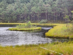 c78f7ded-57a5-45ea-b95b-cc76267a4ce7