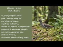 Ptak z Drzewa Zbigniew Herbert Poezje Wiersze | Poezja Dla Duszy