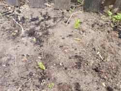 eb338748-24d2-4c31-a762-dad0d8f464d0