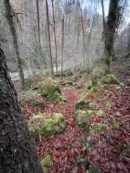 5772fd47-d7d0-4c90-8e87-0e156fabcb20