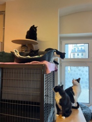 bb2f147d-c394-4f2c-979b-e48e5f60414d