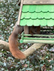 4c1ebbc7-dc88-4332-8ba5-9eeda85e3c09