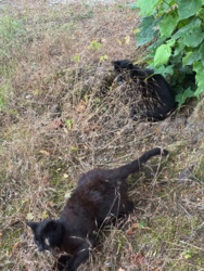 791ad40c-e1ca-4669-b558-5ef235176fa2