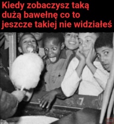 3611b12b-59bd-430a-8f77-bec733fc7804