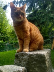 2efa6007-6a98-475b-8827-927ab76c235a