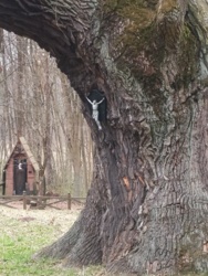 bb959dff-0cb4-498c-bb21-c9b8aaa48e15