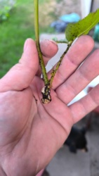 4d30c997-e756-47f7-a334-143958966403