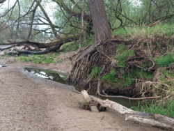 957ad348-b944-4fea-be76-d4e1b338e023