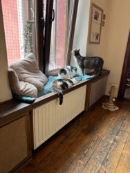 19a8d9eb-319c-4018-a960-f1426fb20ef3