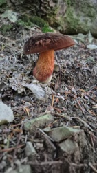 f796b7cd-baba-489a-9995-94611bf4c0c3