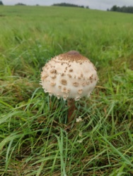 fa6fd086-87a3-47c5-8e46-f95249850940