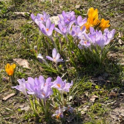 018539bb-50b3-4df0-8679-dcb2d8e28af0