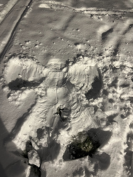 61ca1908-dedd-4a3d-b2f1-811ae55222fe