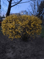 82b1a91b-1ff0-49c3-bbf5-76999fbed015