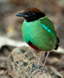 bf26a7e0-c554-4733-841a-059848686913