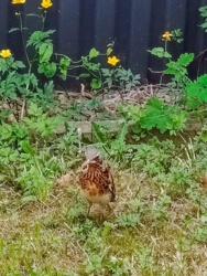 94ad2cd4-6de7-4106-92e4-838d69b67332