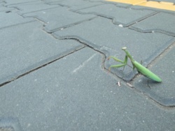 e69d1860-ff5b-4eb3-b368-c734637bdb2a