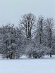 8c41ad2b-1743-4842-bc5d-ad4e379603f0