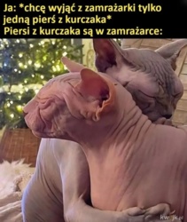 dfc1b217-6907-4ad7-9652-7429a5dec27c