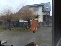 30ef8cc8-12cd-49d9-83e9-03f9edeb2cfb