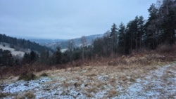 46f488bf-c1a2-4cea-9f06-86d0820c6bca