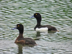 d6a8904f-db59-4549-ac16-18ce673716a4