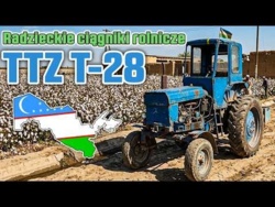 Uzbekistan TTZ T-28 - Radzieckie ciągniki rolnicze