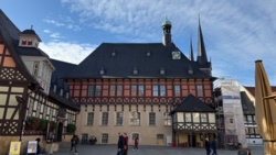 c1faef51-50fa-48e0-8d97-c45a6605c78e