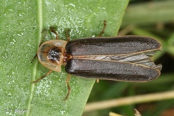 7ee6c4a3-83f8-4047-8abe-1f6a0fe0eb2e