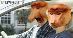 Zdał egzamin i od razu stracił prawo jazdy. Wszystko przez ten wybryk