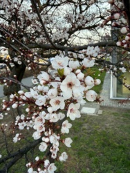 38c5414b-8c48-4948-8679-dc4e522c8a71