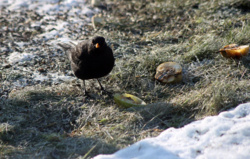 e8ebad5a-26bd-46b2-bdd3-e40e6e27c1f1