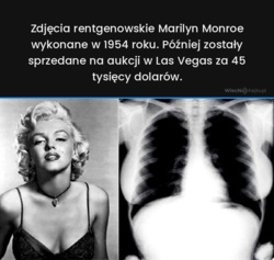 e6a33afd-de57-4a96-a4cf-73b075c8fc05