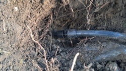 f3a6ba43-d8f4-48af-893b-5819326a35bb