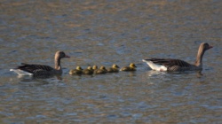 e190fc51-0775-470b-8ae4-b6d65dc805c1