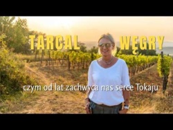 Tarcal na Węgrzech, dlaczego od lat wracamy do tego miejsca w Tokaju?