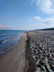 ef9ce23e-d24a-4d09-ad8e-ddcffe12e988