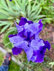 13ec3fde-c2b4-4b59-9185-59f840e98e41