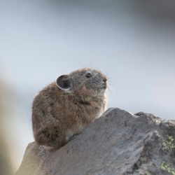 9921d28c-3fa7-4147-8794-f29ec52c1a13