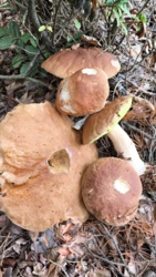 bbdde4df-c909-4f7e-8ae2-319dc60e1577