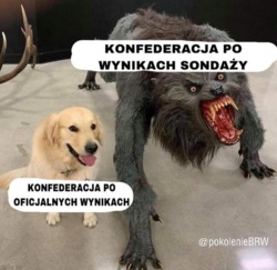 319ee98d-c13a-4f4d-8713-6d257e3f7754