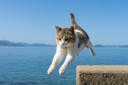 668f7593-ebcc-4c9f-b9d5-e2530ecb93e2